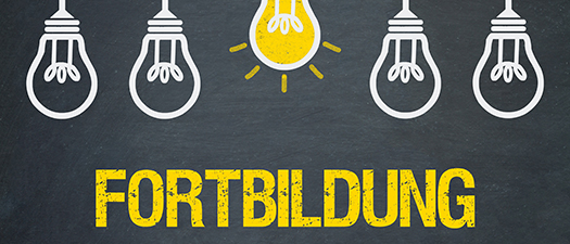 Bildbeschreibung: 5 gezeichnete Glühbirnen auf grauem Hintergrund, die mittlere Glühbirne ist in Gelb ausgemalt. Darunter steht in Gelb „Fortbildung“.