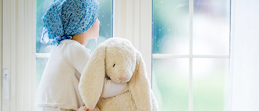 Das Bild zeigt ein krebskrankes Kind, das einen Teddy im Arm hat und aus dem Fensterschaut